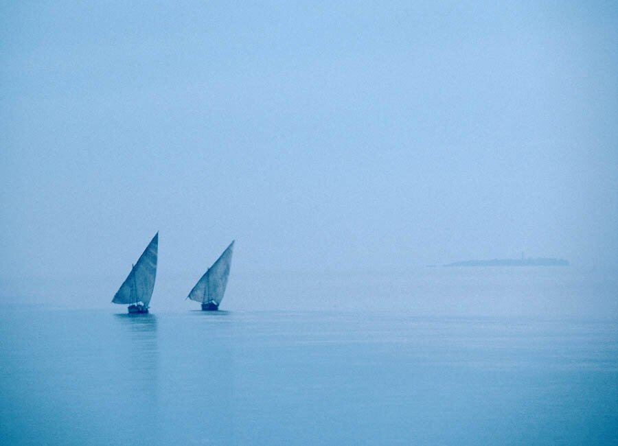 Richard Powers: Zanzibar